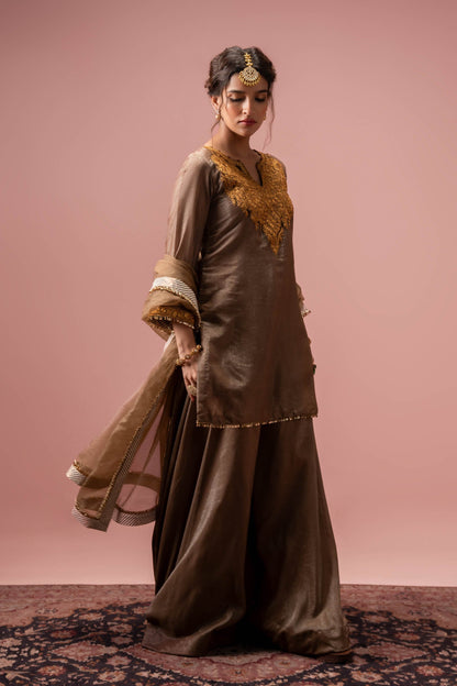 Hazel Radiance - Brown Sharara Set
