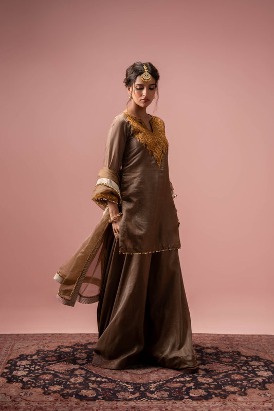 Hazel Radiance - Brown Sharara Set
